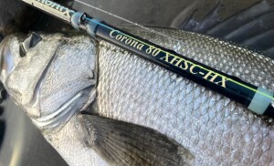 LINE_ALBUM_野村拓都_250122_1