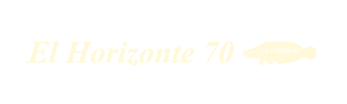 El Horizonte 70
