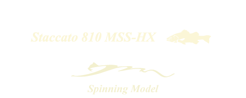 Staccato 810 MSS-HX