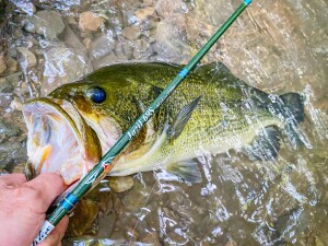 307711522_1078533913034041_4512079383292140690_n - コピー