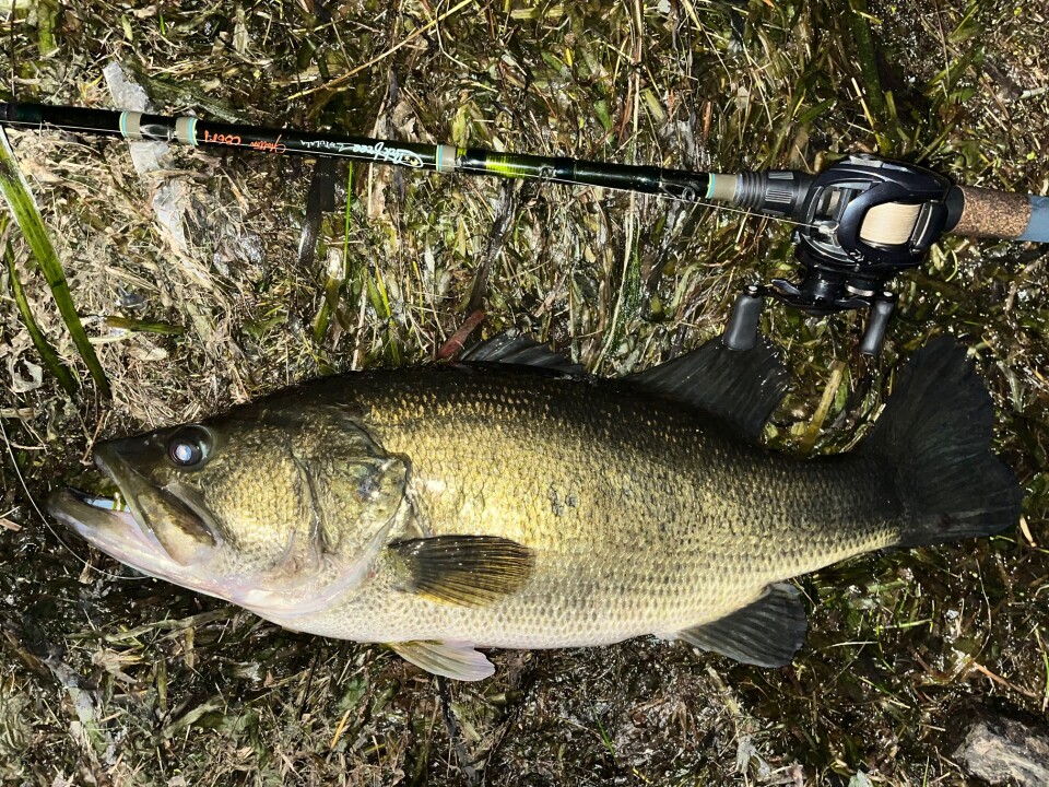 けん　ゴッデス　6.6 フルリペア済　クワッド　浮力約40　手渡しor発送 けん ゴッデス 6.6 フルリペア済 クワッド 浮力約40 手渡しor発送