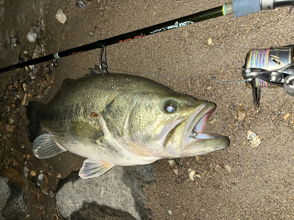 TULALA | Ford every stream | » News