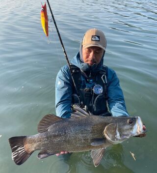 Tulala Ford Every Stream