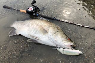 Tulala Ford Every Stream