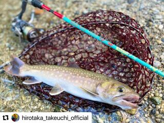 Tulala Ford Every Stream